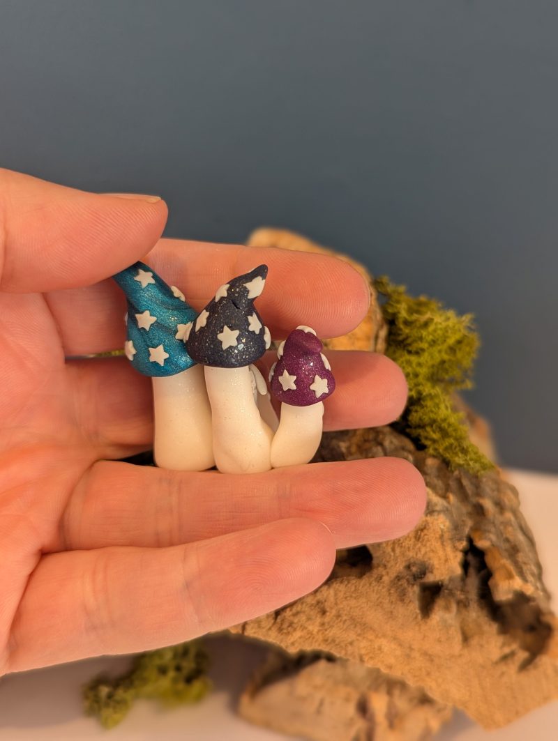 mini mushroom family group of 'magic' mushrooms