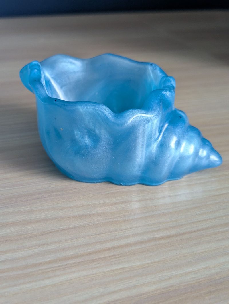 Cyanine blue conch shell