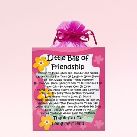 Little Bag of Friendship ~ Unique Fun Novelty Gift & Greetings Card | Keepsake Gift