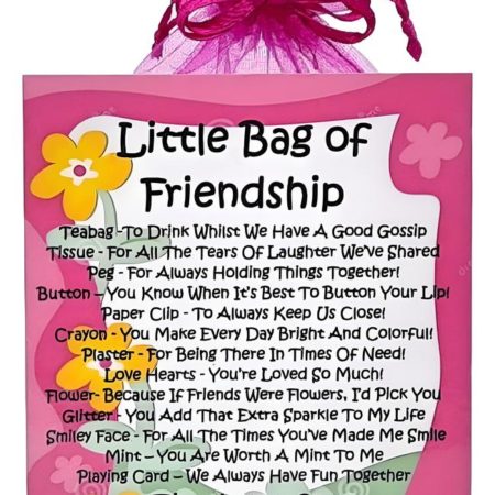 Little Bag of Friendship ~ Unique Fun Novelty Gift & Greetings Card | Keepsake Gift