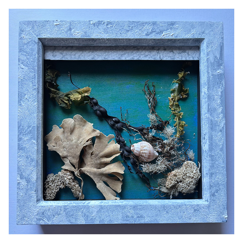 Seaside Wall Art Rockpool with light