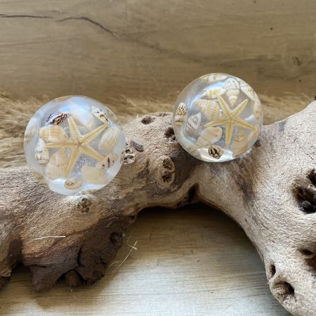 Pair of seashell drawer knobs for ocean styled rooms