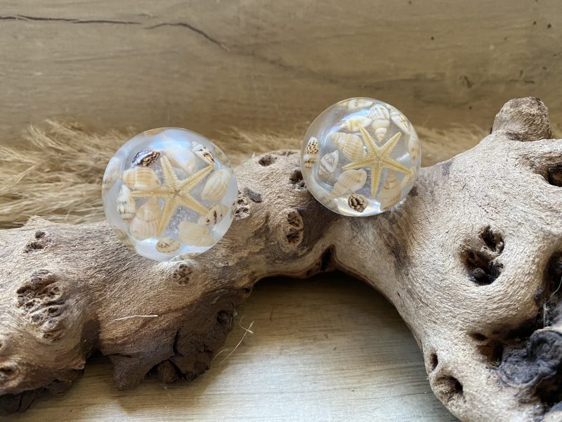 Pair of seashell drawer knobs for ocean styled rooms