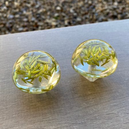 Pair of drawer knobs, natural grasses for nature inspired rooms