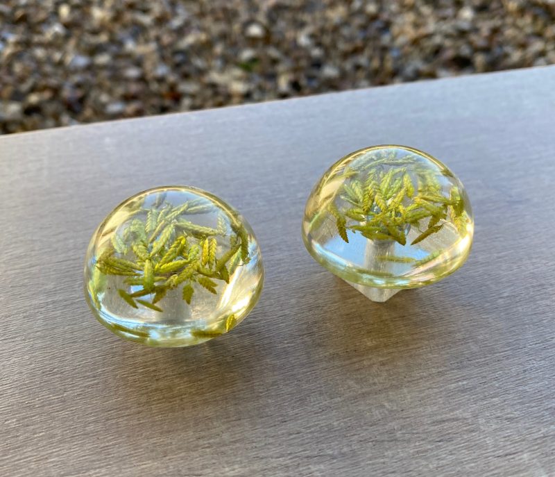 Pair of drawer knobs, natural grasses for nature inspired rooms