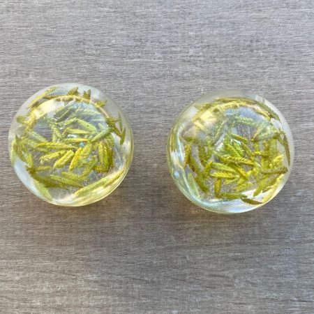 Pair of drawer knobs, natural grasses for nature inspired rooms