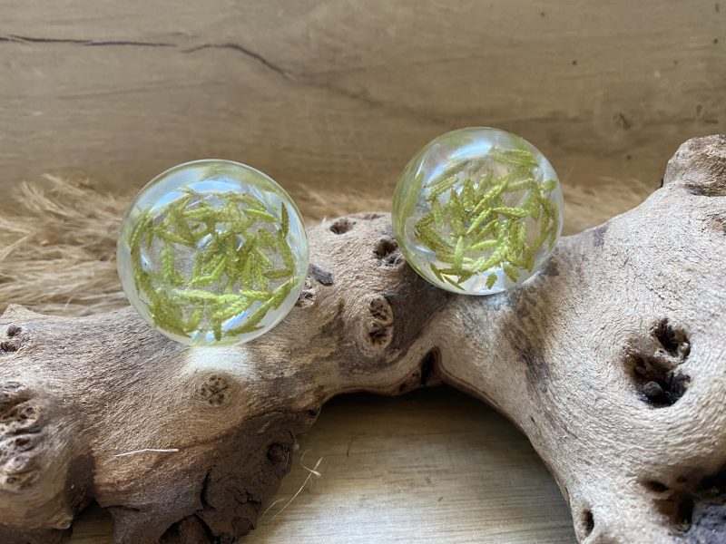 Pair of drawer knobs, natural grasses for nature inspired rooms