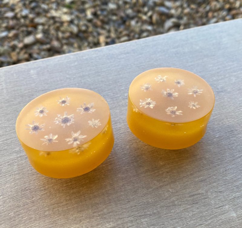 Pair of daisy, natural flowers drawer knobs