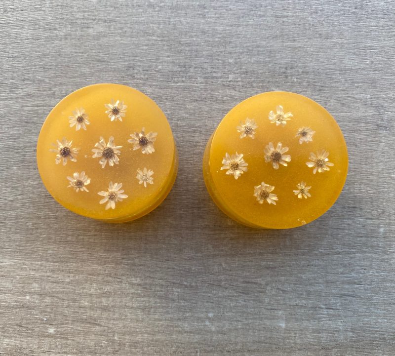 Pair of daisy, natural flowers drawer knobs