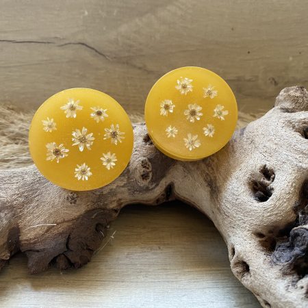 Pair of daisy, natural flowers drawer knobs