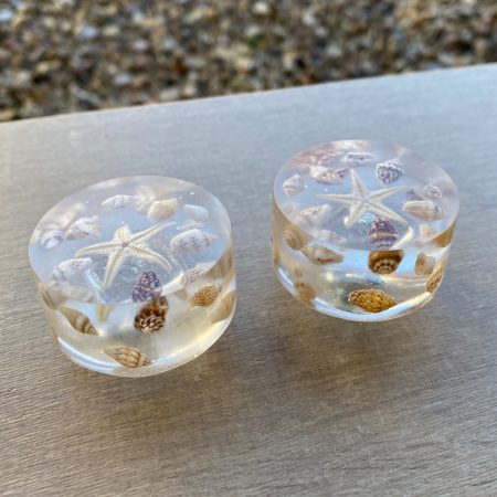 Pair of seashell drawer knobs for ocean styled rooms