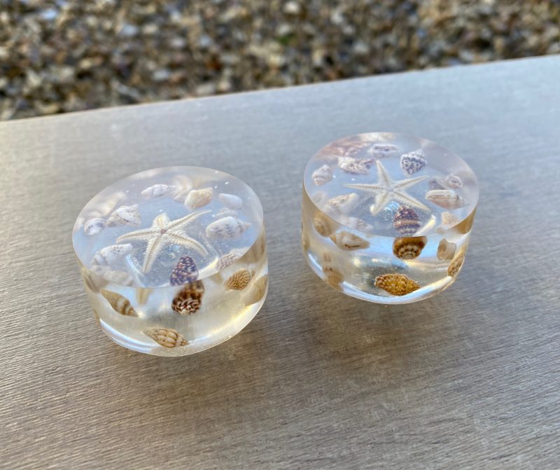 Pair of seashell drawer knobs for ocean styled rooms