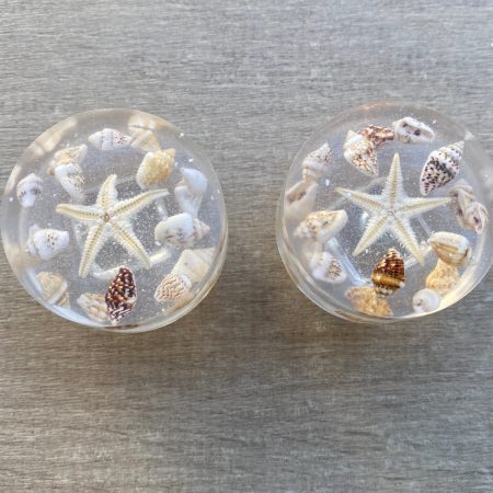 Pair of seashell drawer knobs for ocean styled rooms