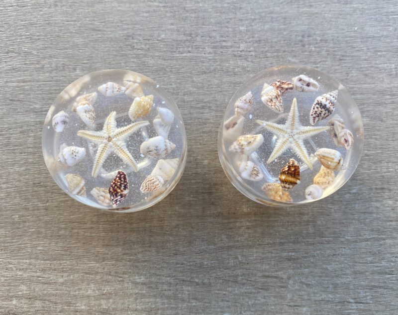 Pair of seashell drawer knobs for ocean styled rooms