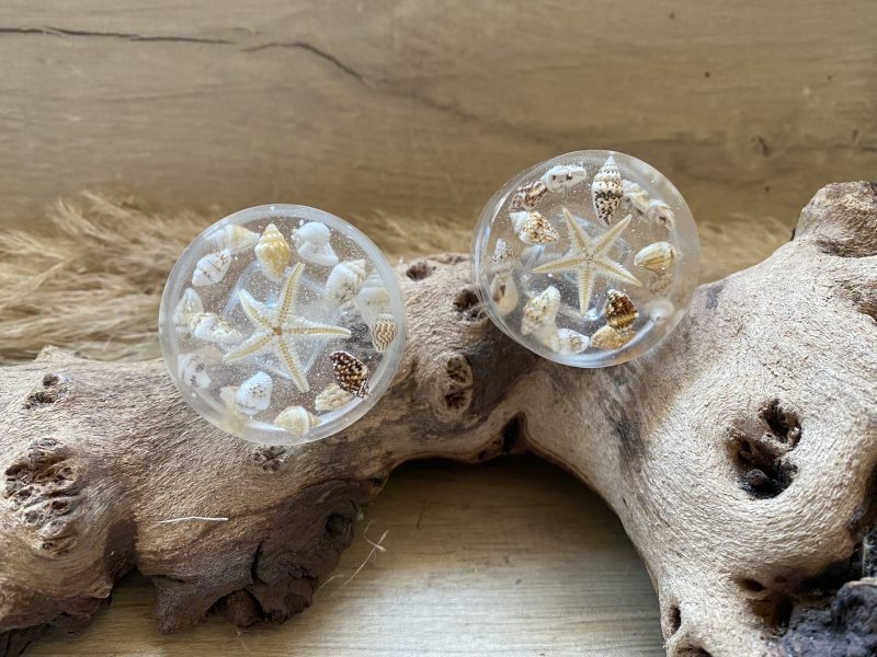 Pair of seashell drawer knobs for ocean styled rooms
