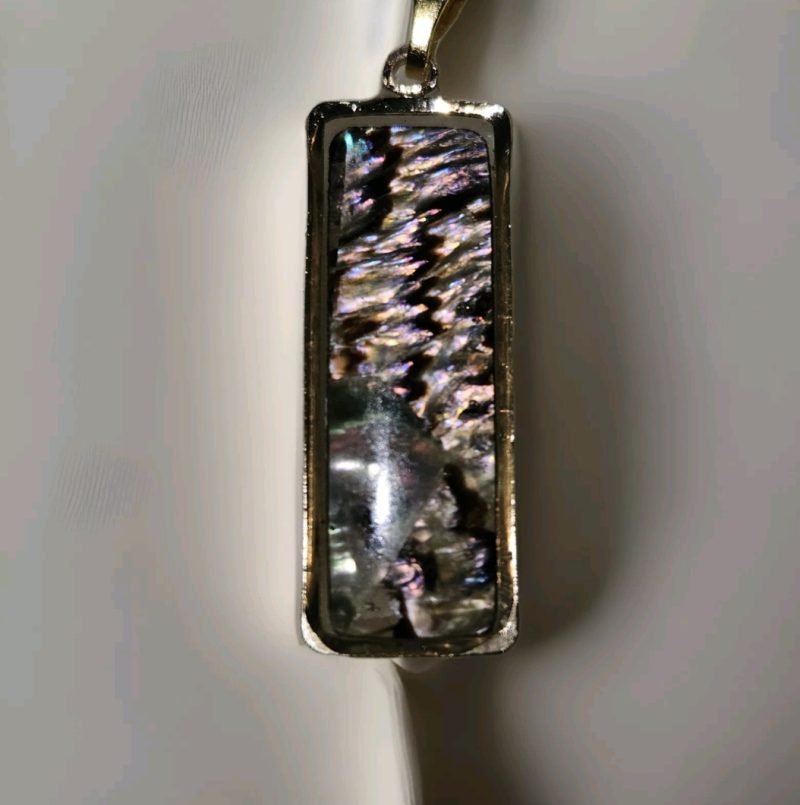 Abalone shell necklace.