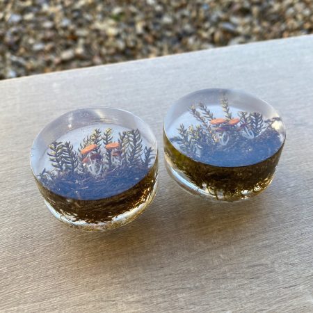 Pair of woodland, mushroom drawer knobs for nature inspired rooms
