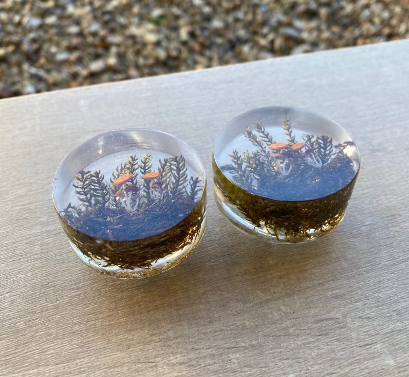 Pair of woodland, mushroom drawer knobs for nature inspired rooms