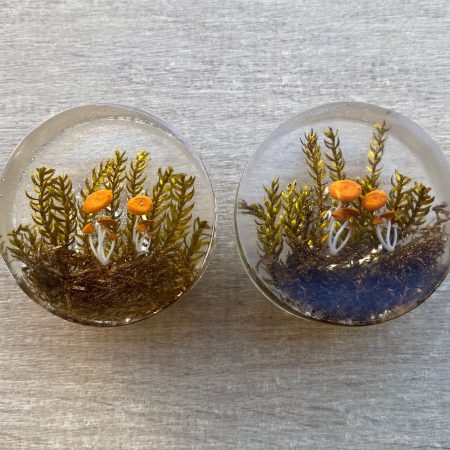 Pair of woodland, mushroom drawer knobs for nature inspired rooms
