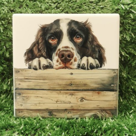 Peeking Springer Spaniel Dog Ceramic Coaster, Gift Idea