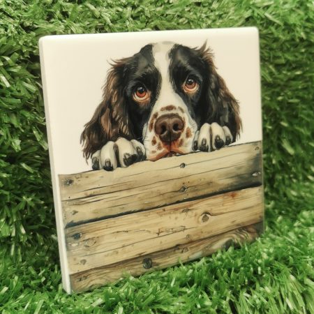 Peeking Springer Spaniel Dog Ceramic Coaster, Gift Idea
