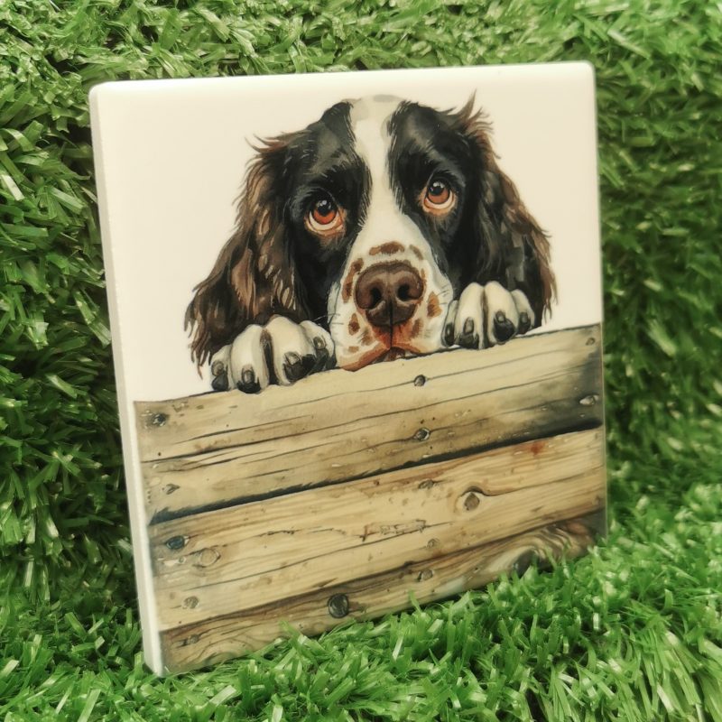 Peeking Springer Spaniel Dog Ceramic Coaster, Gift Idea