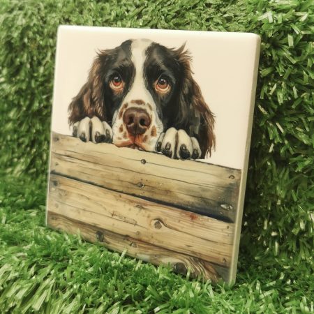 Peeking Springer Spaniel Dog Ceramic Coaster, Gift Idea