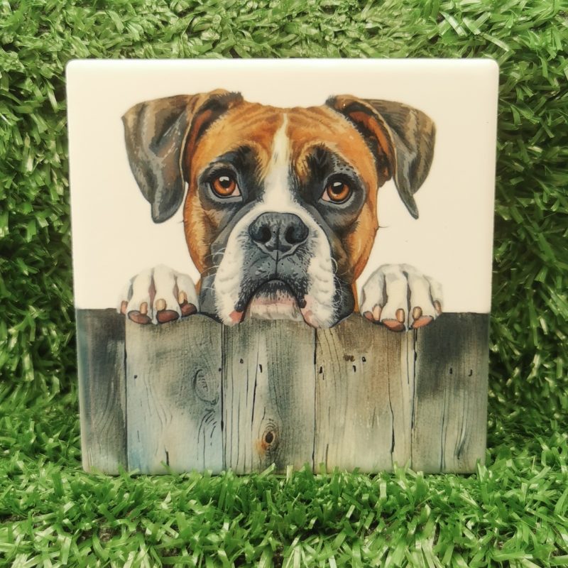 Peeking Boxer Dog Ceramic Coaster, Gift Idea,