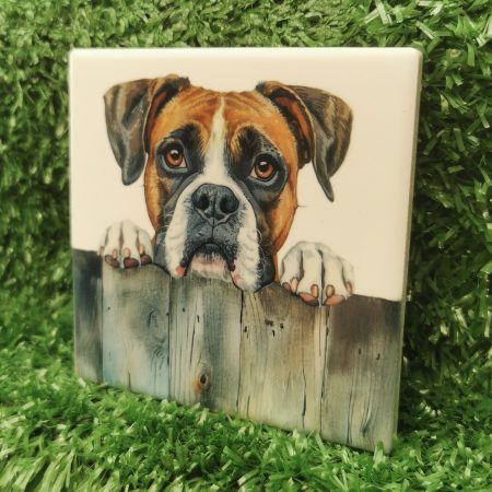 Peeking Boxer Dog Ceramic Coaster, Gift Idea,