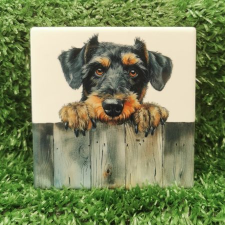 Peeking Airdale Terrier Dog Ceramic Coaster, Gift Idea