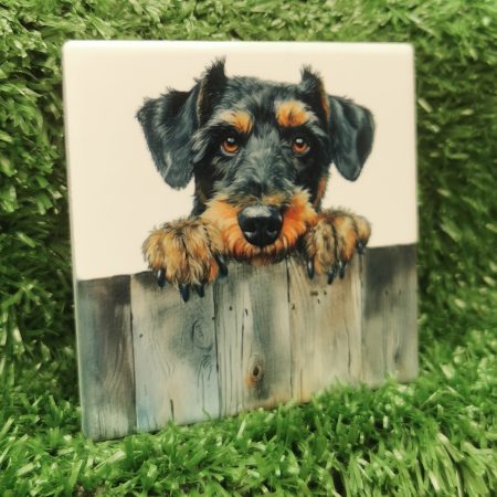 Peeking Airdale Terrier Dog Ceramic Coaster, Gift Idea