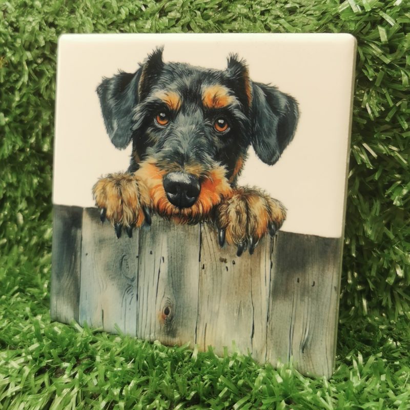 Peeking Airdale Terrier Dog Ceramic Coaster, Gift Idea