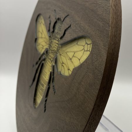 Beautiful Circular Walnut Veneer with Engraved Bee filled with Yellow Resin, Wall Hanging