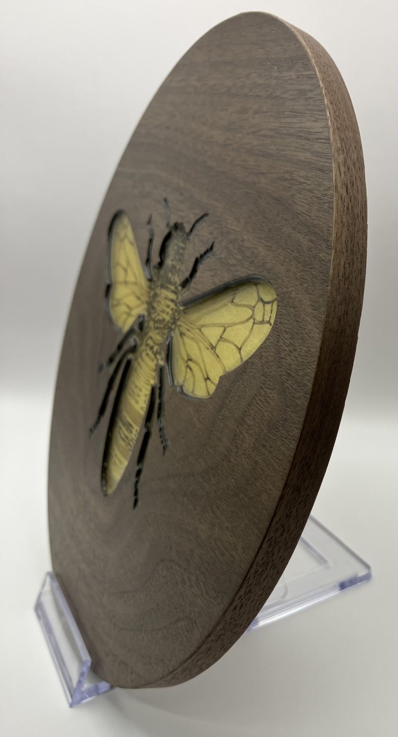Beautiful Circular Walnut Veneer with Engraved Bee filled with Yellow Resin, Wall Hanging