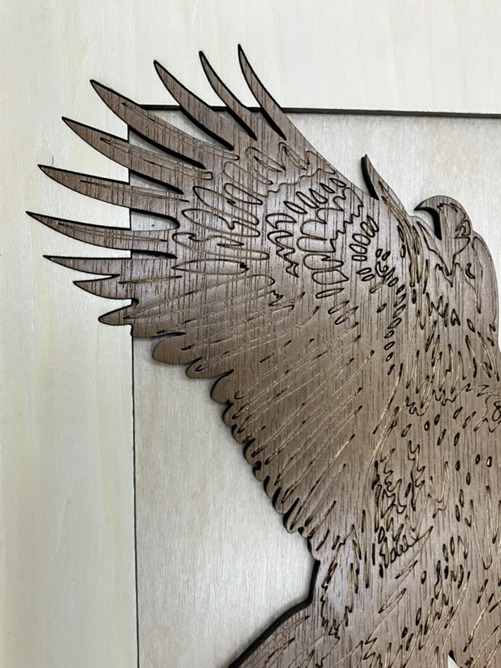 Stunning Eagle in Flight Engraved in Walnut Veneer onto Maple and framed, Wall Hanging