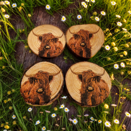 four round wood slice coasters with Highland cow head detailing