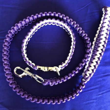 Dog collar and leash set.