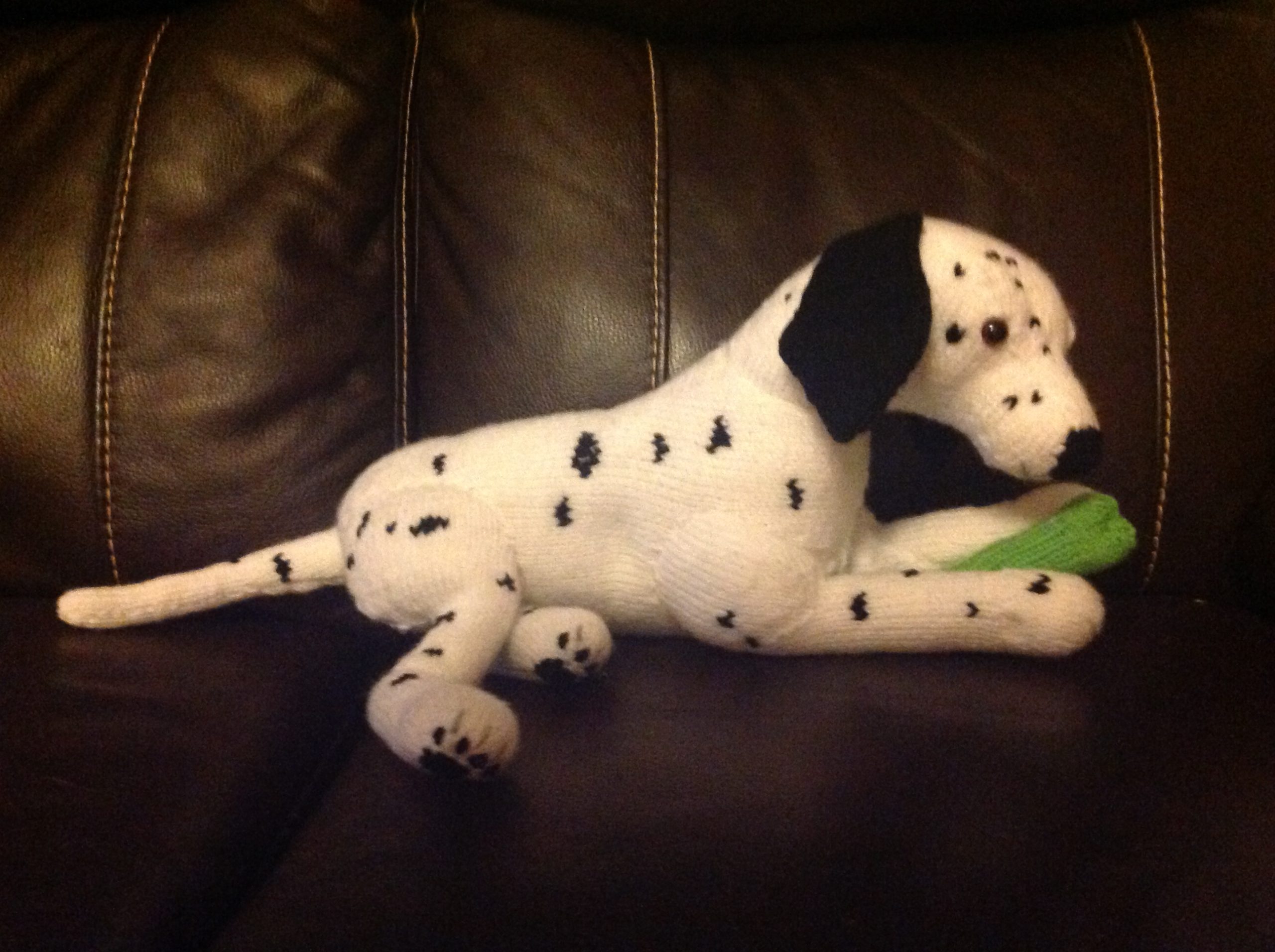 Dalmatian dog