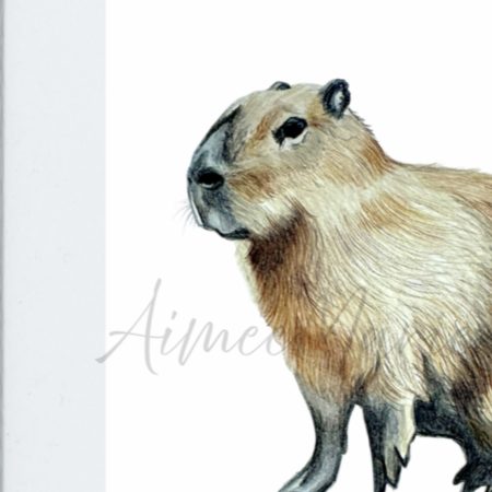 Personalised small original commissioned artwork/illustration. A5.