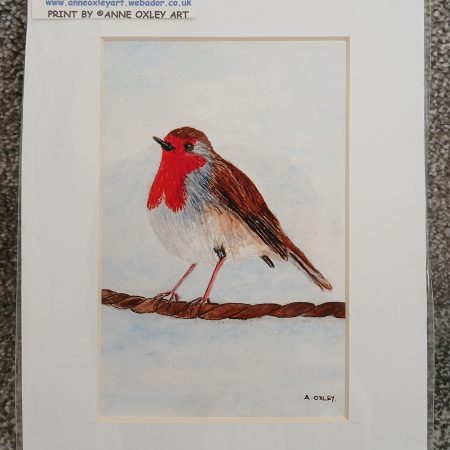Robin unframed 8x6" print from original watercolour