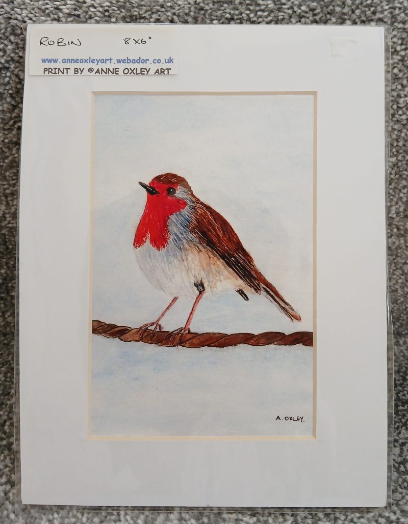 Robin unframed 8x6" print from original watercolour