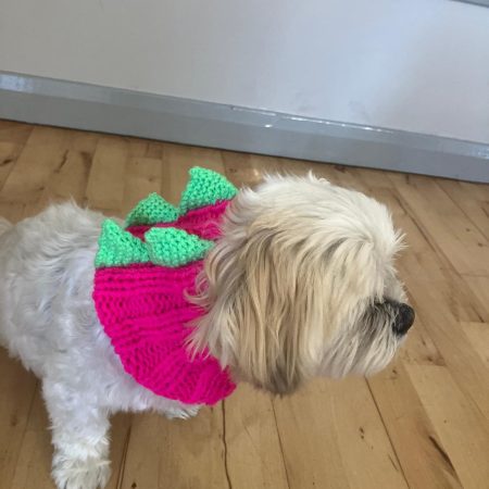 Dog Snood Dinosaur style, handknitted