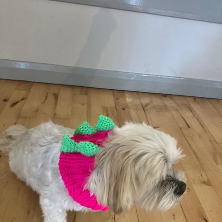 Dog Snood Dinosaur style, handknitted
