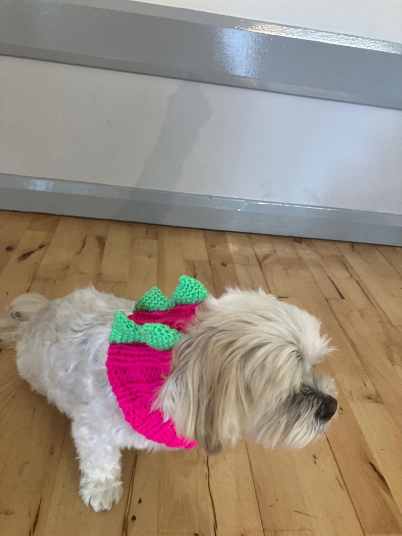 Dog Snood Dinosaur style, handknitted