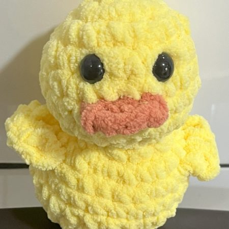 Duck plushie