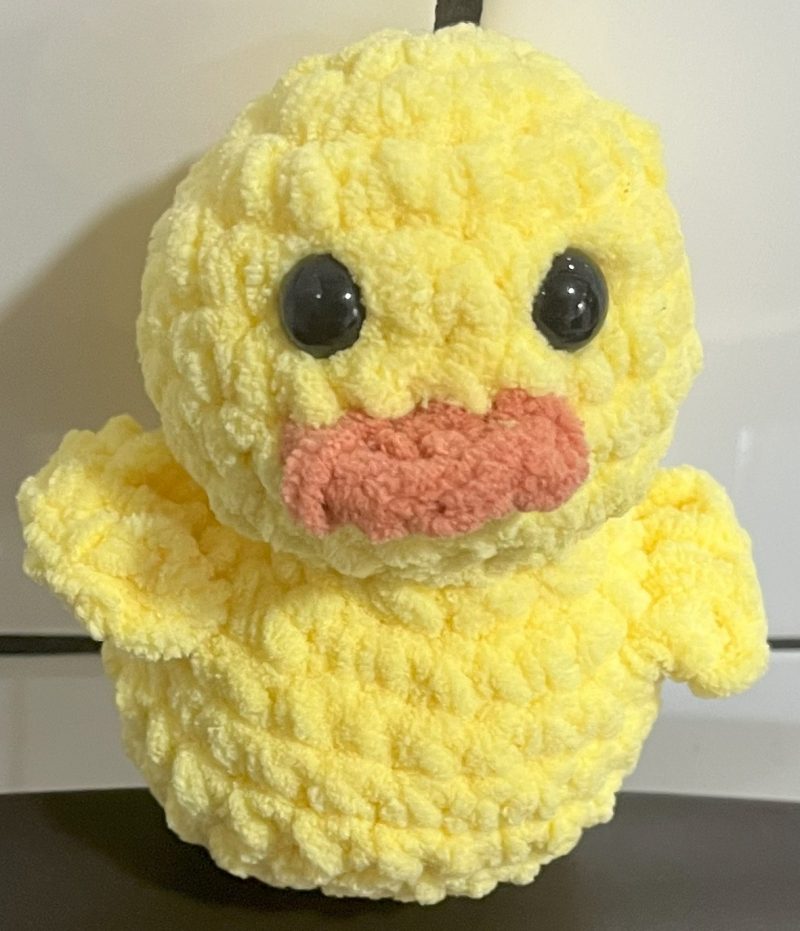 Duck plushie