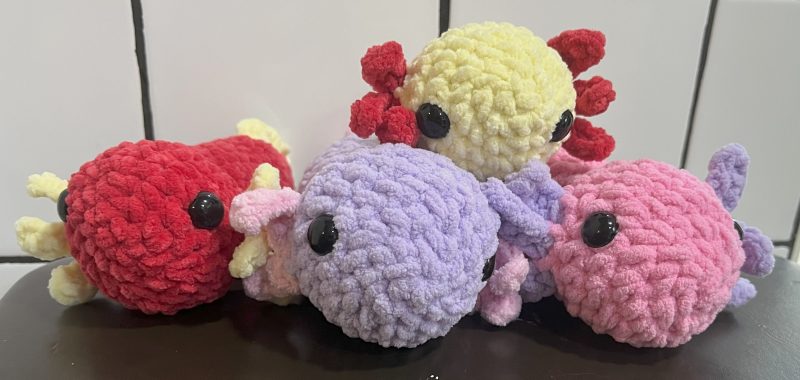 axolotl