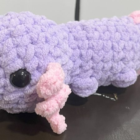 axolotl