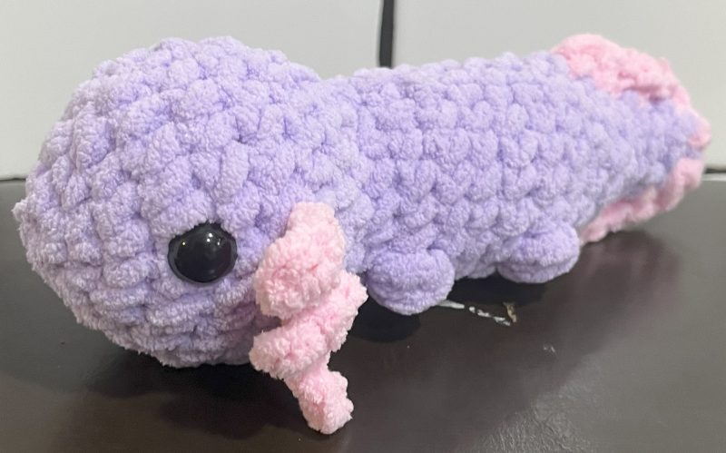 axolotl