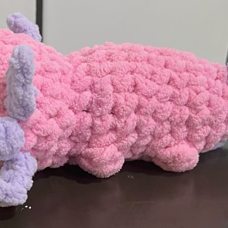 axolotl